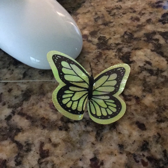 Interactive Cat Toy - Picture 6 of 6